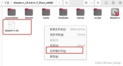 Linux下解壓與運行tgz壓縮包中的程序——以Steam為例